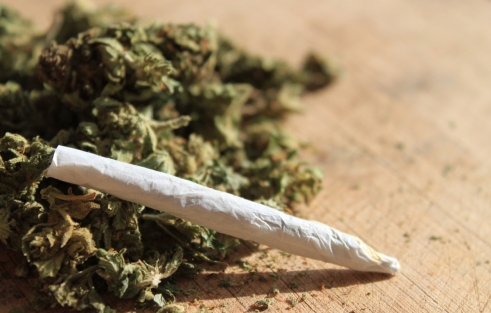 World Health Organization expert: Pot is dangerous to your health