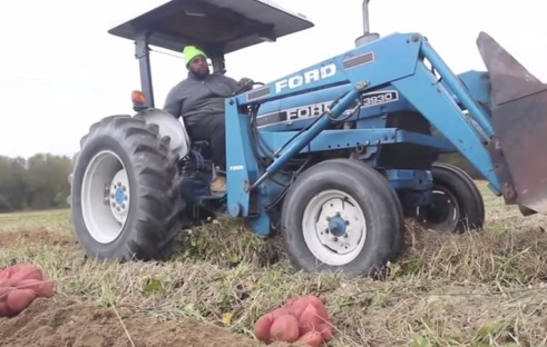 NFL's Jason Brown found his sweet (potato) spot