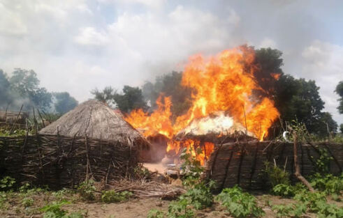 241 women and children rescued from Boko Haram